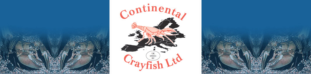 pictures of crayfish alongside Continental Crayfish Ltd logo